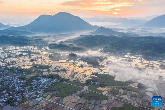 ???????????????????????????????? ??????????