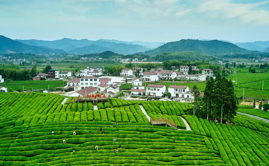 ?????????????????????????????? “?????????????????????????”