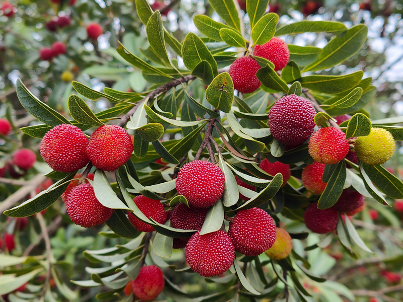 ??????????????????????????????????????????????????????