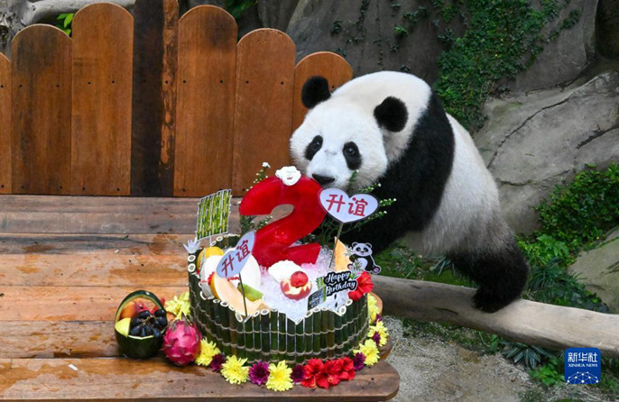 ????????????/?? ?????