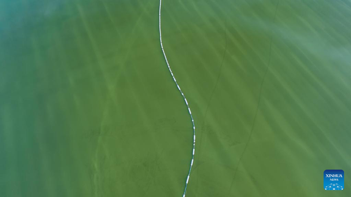 ???????????????????????????????????