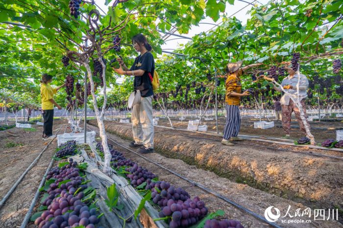 ????????????????????????????????? ????????????????????????