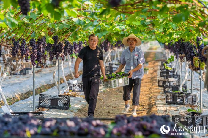 ????????????????????????????????? ????????????????????????