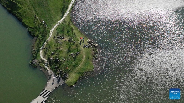 ???????????????????????????????????????????????