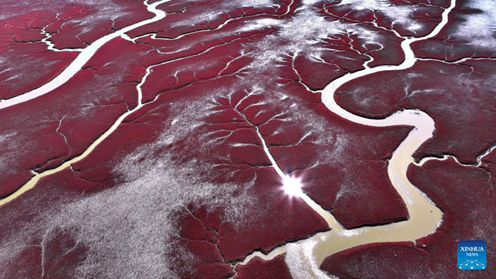 ??????????? “????????” ????????????????????????????????????????????????????????