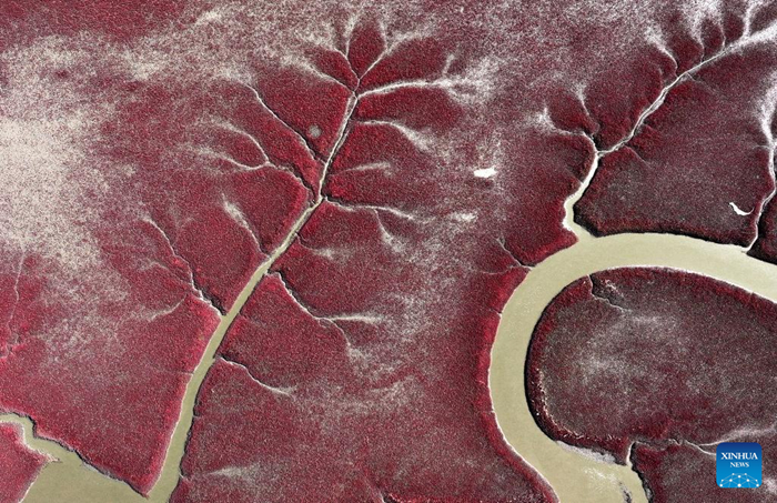 ??????????? “????????” ????????????????????????????????????????????????????????