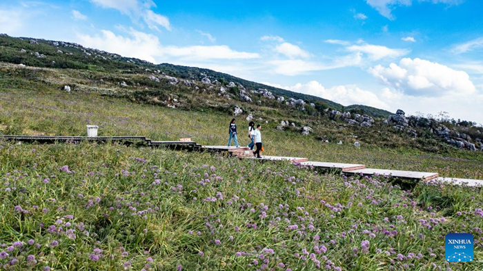 ??????????????????????????????????????????????????