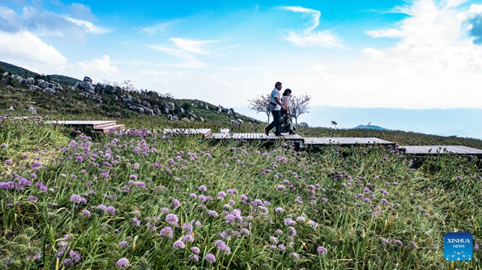 ??????????????????????????????????????????????????