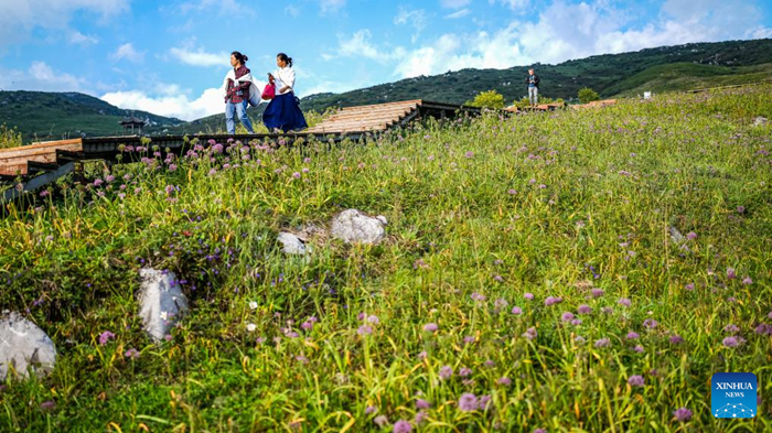 ??????????????????????????????????????????????????