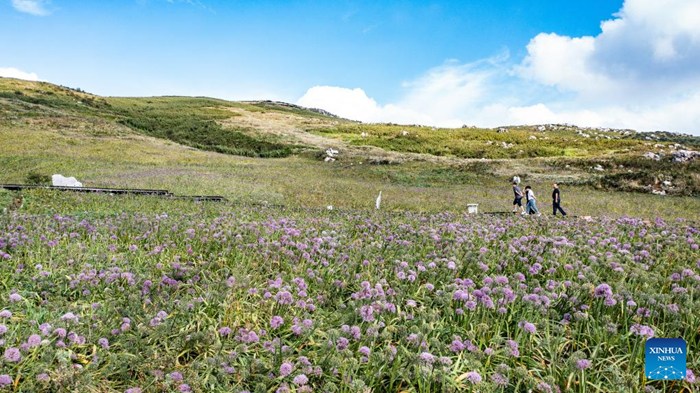 ??????????????????????????????????????????????????