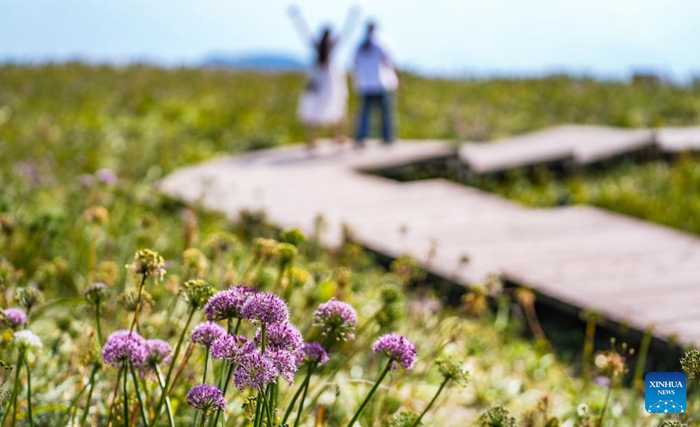 ??????????????????????????????????????????????????