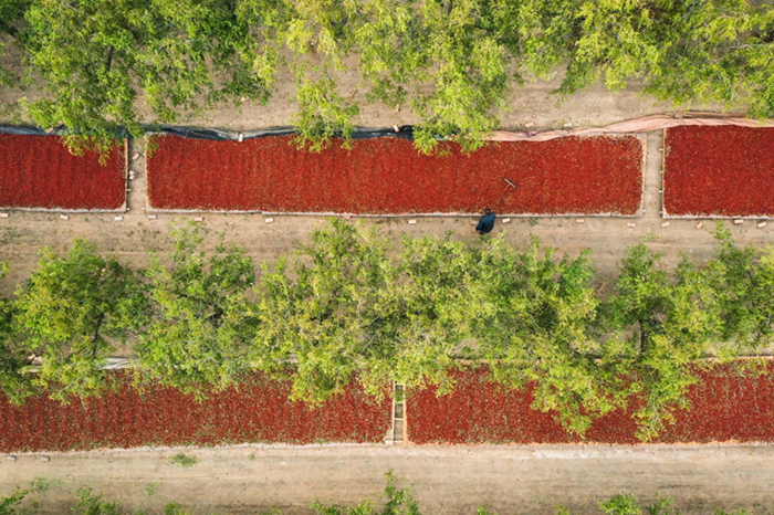 ????????????????????????????????????????????????????