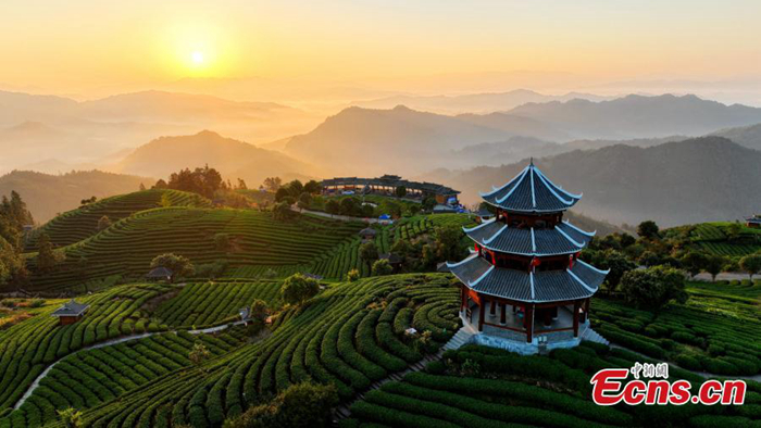 ???????????????????????????????????????