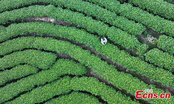 ???????????????????????????????????????