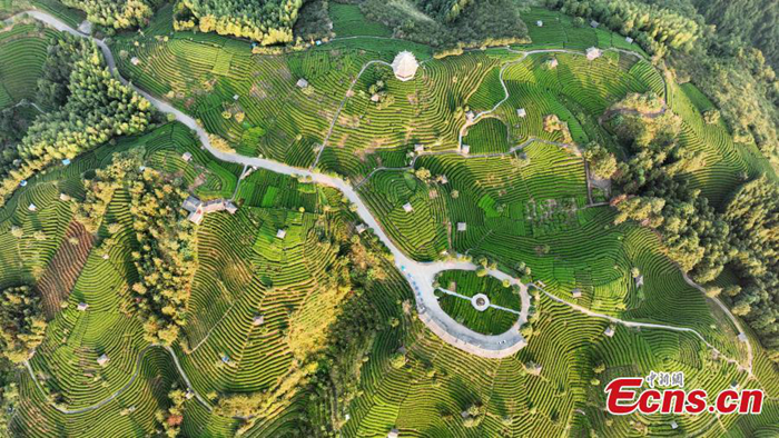 ???????????????????????????????????????