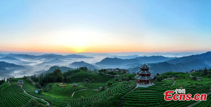 ???????????????????????????????????????