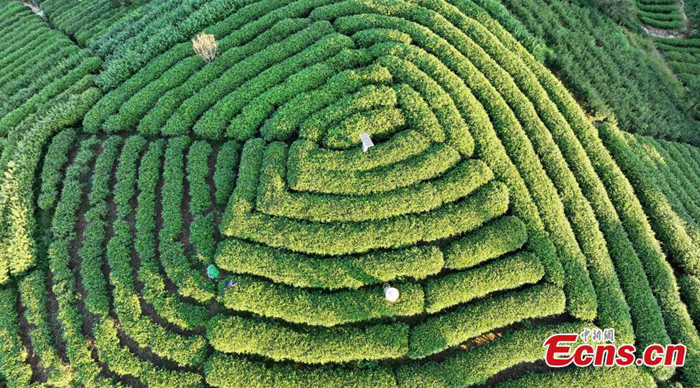 ???????????????????????????????????????