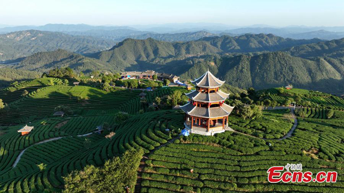 ???????????????????????????????????????