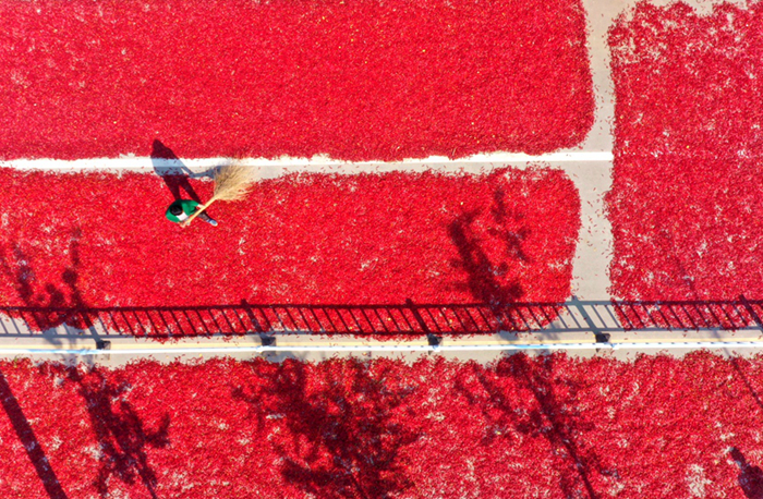 ??????????????????????????????????????????????????????? ???????????