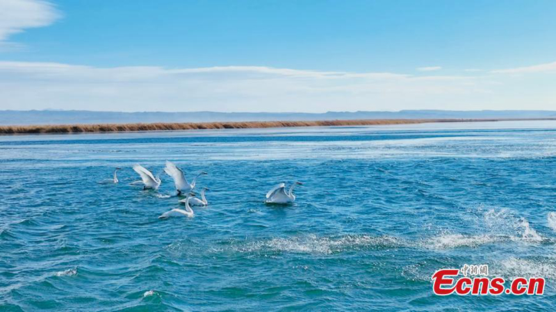 ??? “???????????” ????????