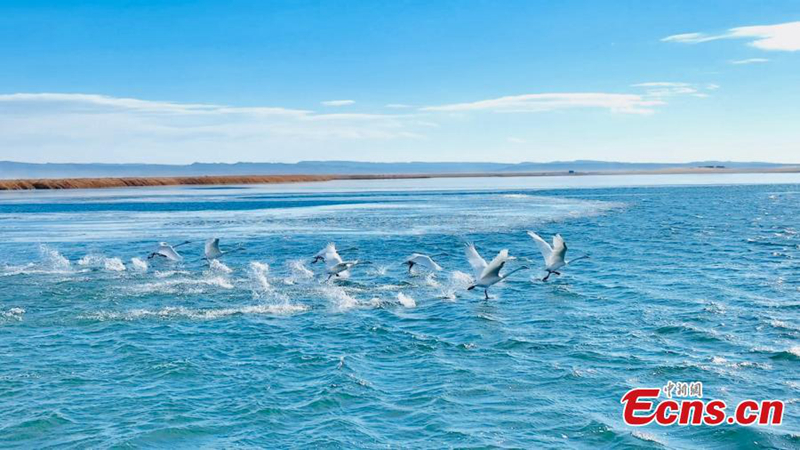 ??? “???????????” ????????