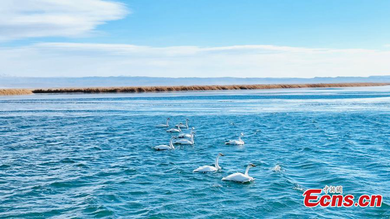 ??? “???????????” ????????