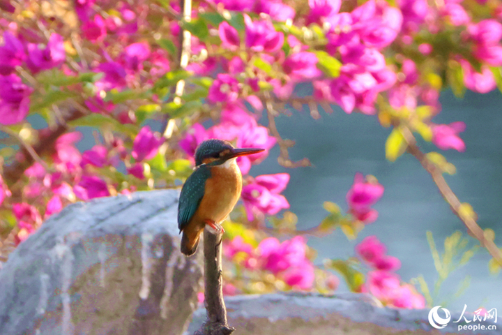 ????????????????????????????????????? ???????????? ????????????????????????? ???????????????????????????????????????????? (???????? ????? ???????)