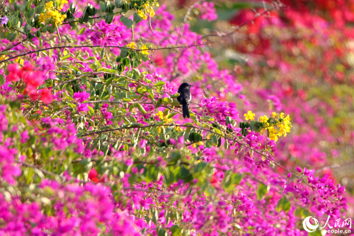 ????????????????????????????????????????????????