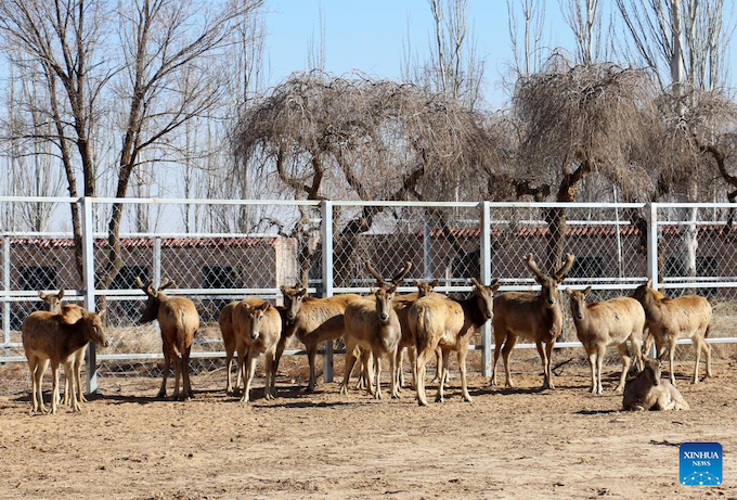 ?????????????????????????????????????????????? ????????????????????????? ????????????????? ?????????????????? 3 ?????? 2567 (??????/???? ???????)