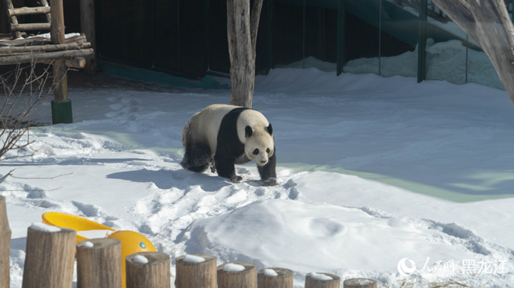 ???????????????????????????????????????????????????????????????? ?????????????????????????????????????????? (?????? ?? ???????/????????????????????)