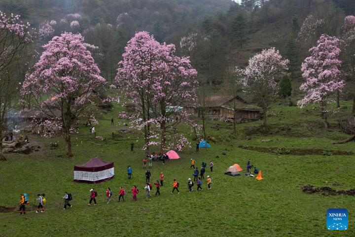 ??????????????????????????????????