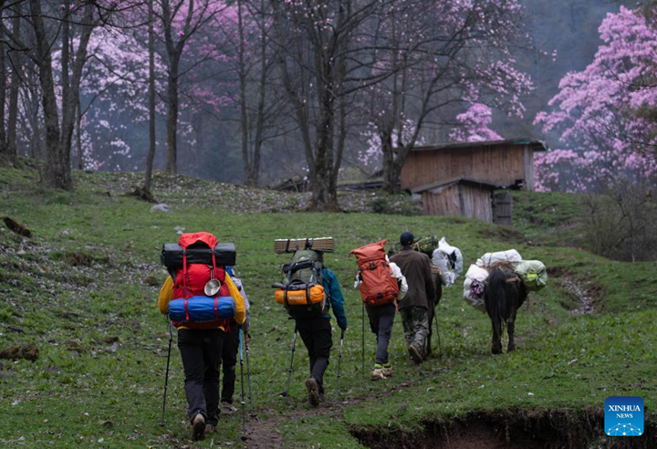 ??????????????????????????????????