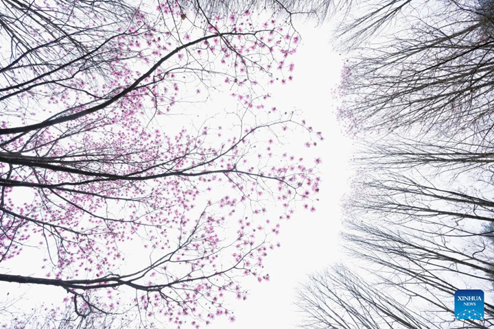 ??????????????????????????????????