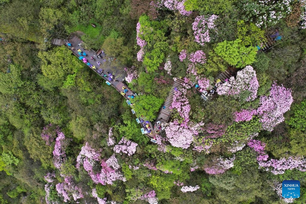 ???????????????????????????????????????????????????????