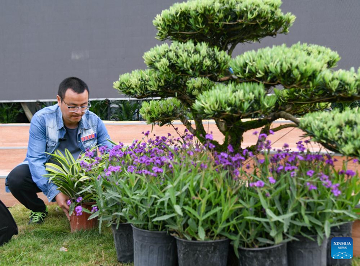 ???? ?????? ???????????????????????????????????????????????????????????????????????????? ??  ?.?. 2024 ??????????? ????????? ???????????????????????? ??????????? 23 ?????? (??????)