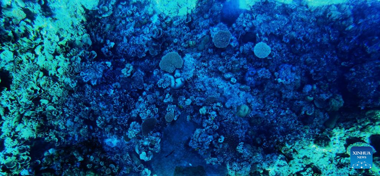 ?????????????????????