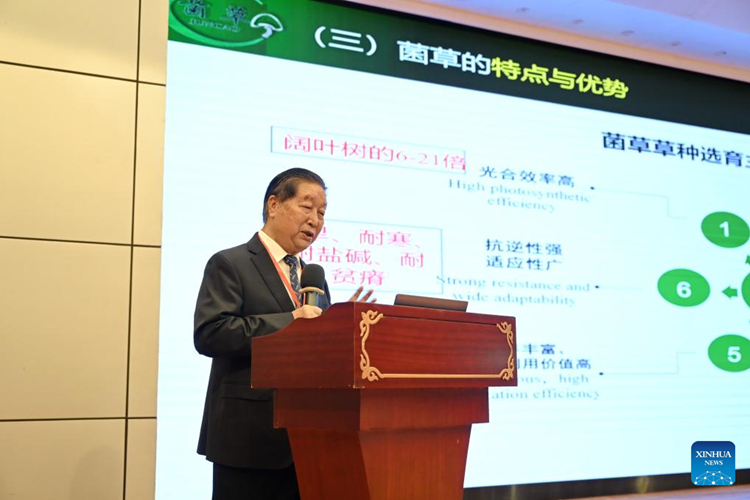 ???? ?????? ?????????????????????????????????? ?????????????????????????????????????????????????????????????????? ???????????? ????????????????????????? ??????????? 16 ???????? 2567 (??????)