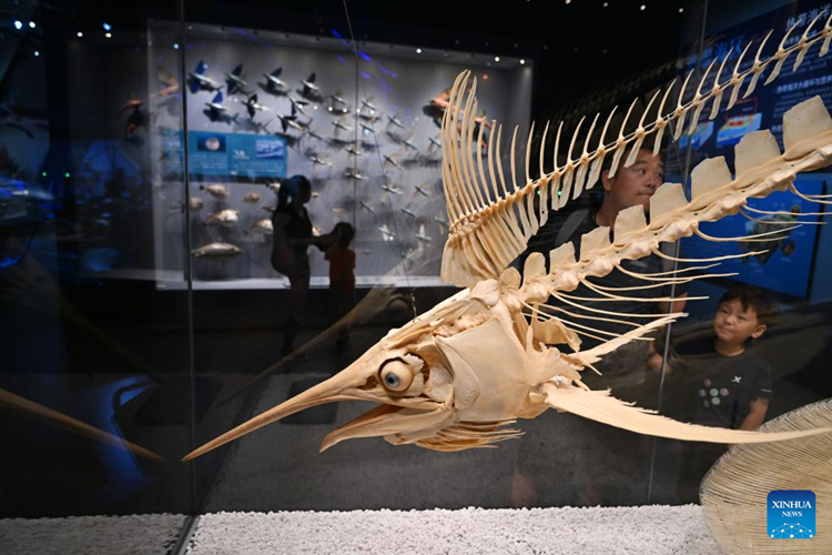 ??????????????????????????????????????????????????????????? ???????????????????????????? 28 ???????? 2567  ??????????????????????????????????????????????????????? ????????????????? ??????????????? 93.75 ??? ?????? ??????????????????????????????????????????????????????????????????????????????? (??????)