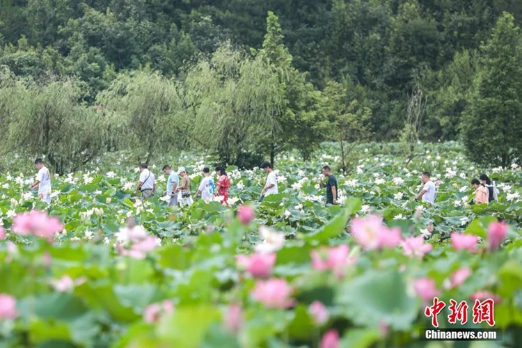 ?????????????????????????? ????????????????? ????????????????????????????????