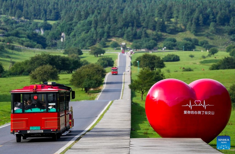 ??????????????????????????????????????????????????? ????????????????????????