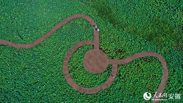 ?????????????????????????????????????? ??????????? ?????????? ?????????? ????????????????? (????????????????????/??? ???)