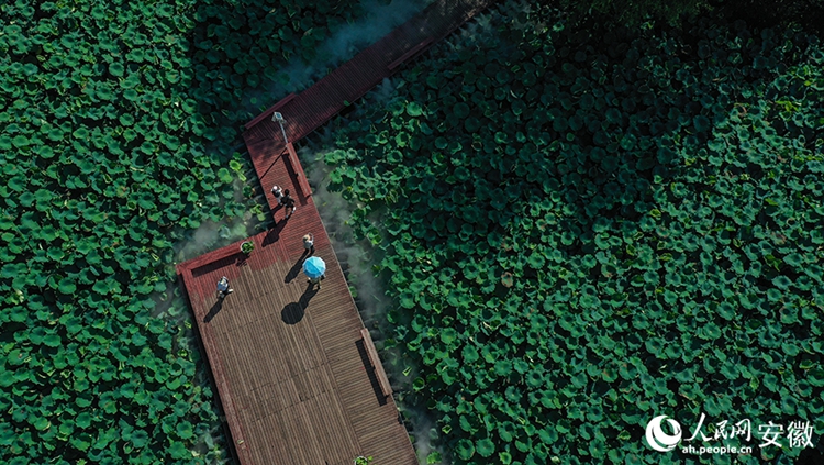 ???????????????????????????? ?????????? ?????????????????