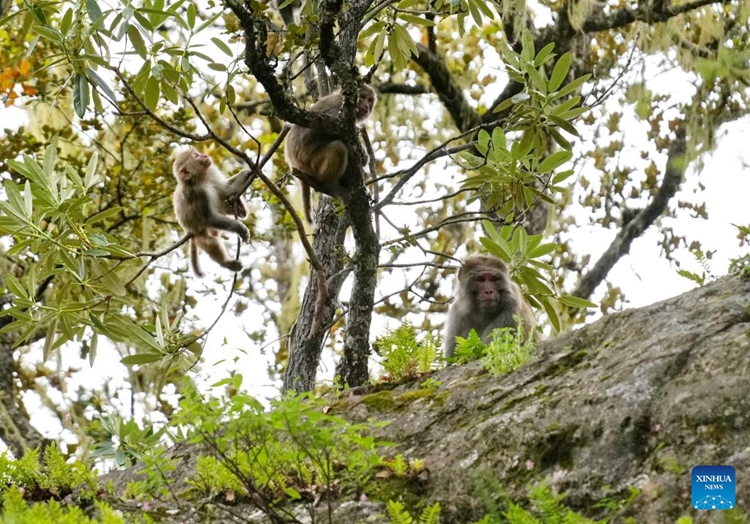 ????????????????????????????????????????????????? ????????????????????????