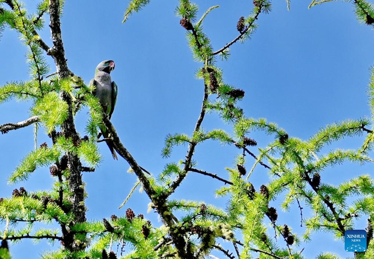 ????????????????????????????????????????????????? ????????????????????????