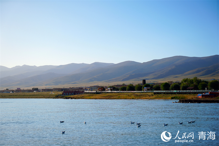 ????????????????????????????????????? ?????????????????????????? (???????? ????? ???????)