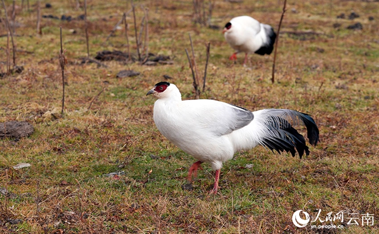 ??????????????????????????????????????????????????????????? ????????????????????????