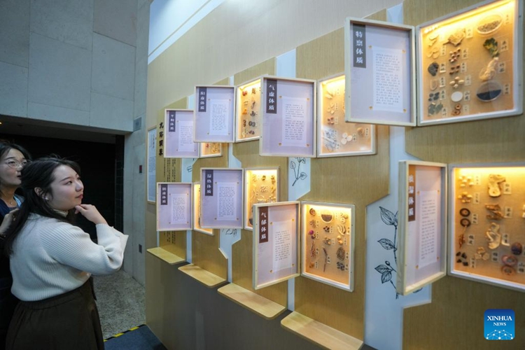 ??????????????????????????????????????????? 2024 ?????????????????????????