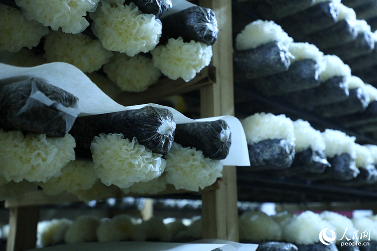 ?????????????? ????? ???????