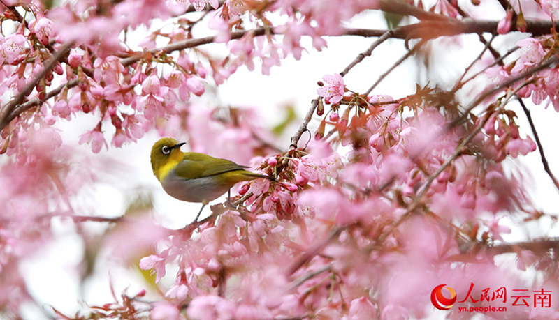 ??????????????????????????????????????????????????????????????? (?????????????? ???????)