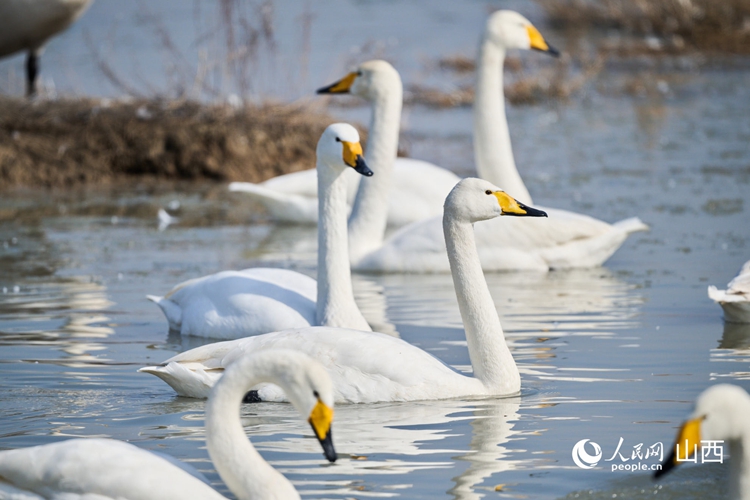 ????????????????????????????????????????????????????????????? ????????? ?????????????????